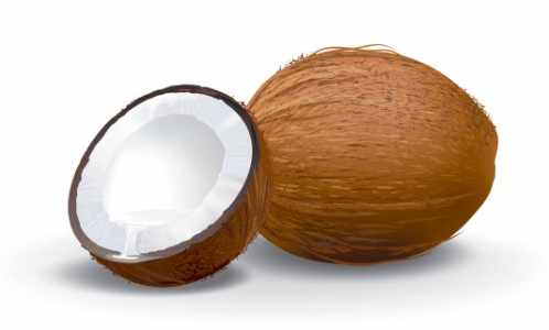 Coconut Producing Countries