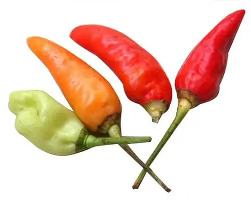 Top 5 Hottest Chili Peppers on the Scoville Scale